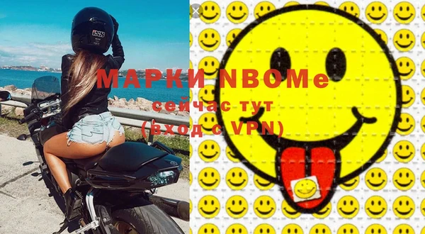 молекула духа Няндома