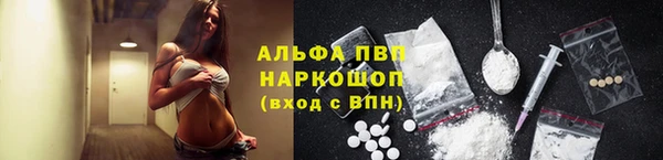 ECSTASY Абаза