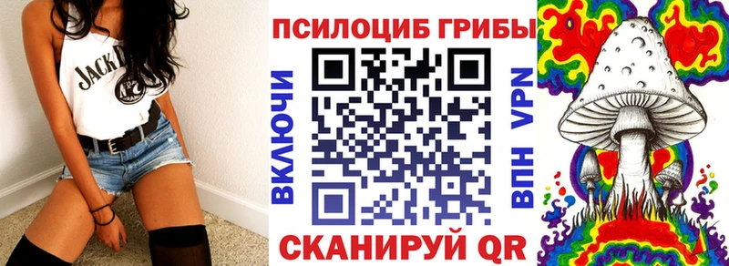 блэк спрут онион  Мамадыш  Псилоцибиновые грибы мухоморы 